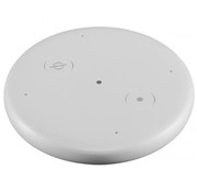 Amazon Echo Input wit